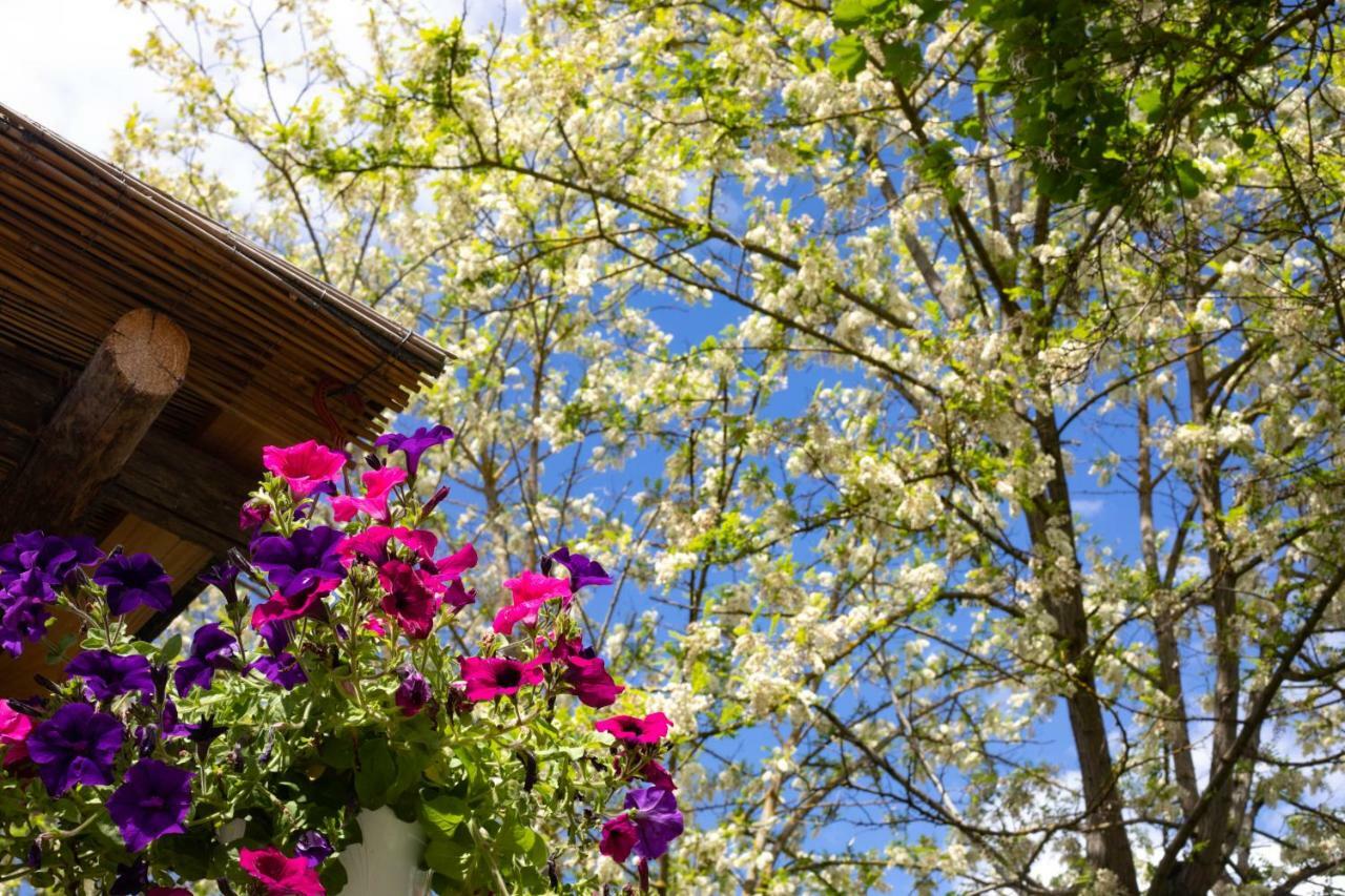 Il Vichiaccio Country House Impruneta Exterior photo